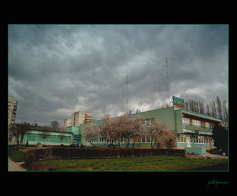 Spółdzielczy Dom Kultury
ul. Krzywoustego
