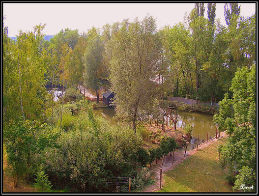 Płockie ZOO
Rzut oka w stronę Wisły z tarasu widokowego w płockim ZOO
Słowa kluczowe: ZOO