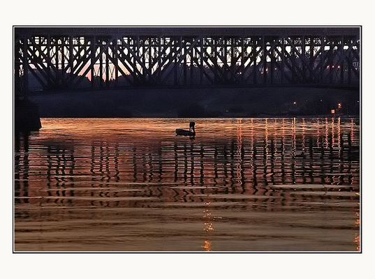 rz. Wisła
wieczorne połowy ryb
