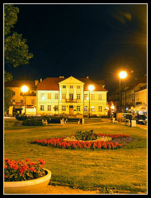 Plac Narutowicza
- Biblioteka im. Zielińskich -
