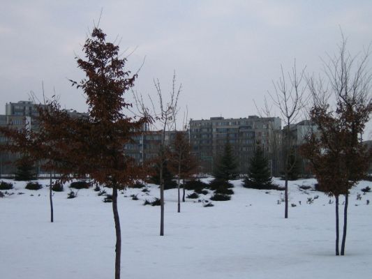 Park zimą
