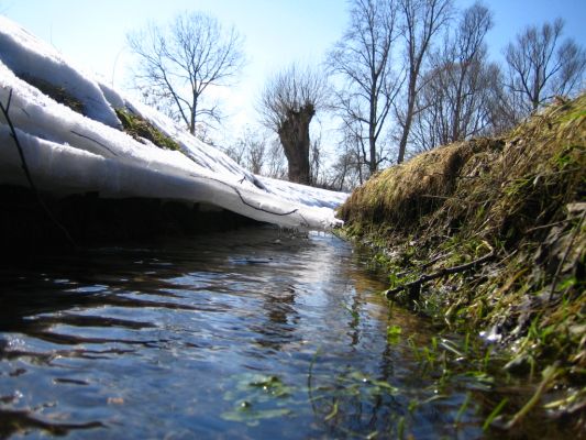 wiosna?
rzeczka w pobliżu Grabówki
