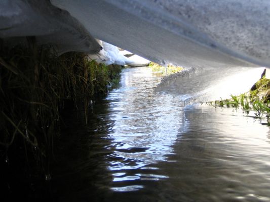 rzeczka
ciek wodny w okolicy Grabówki
