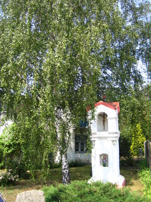 zabytkowa kapliczka
ul. Dobrzyńska. Mało znana, jest historia tej kapliczki
