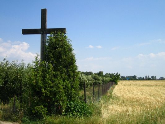 Przydrożny Krzyż
Kostrogaj - Trzepowo
