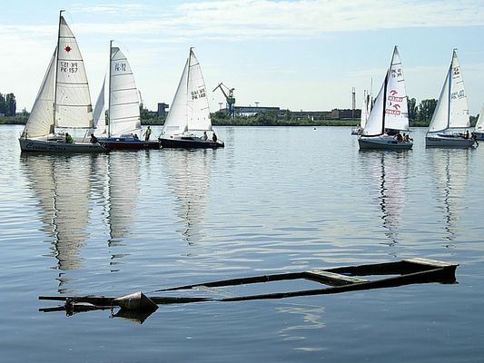 Regaty
nie każdy mógł płynąć
