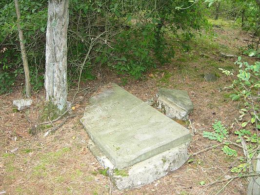 nagrobek
opuszczony cmentarz w Woli Brwileńskiej
