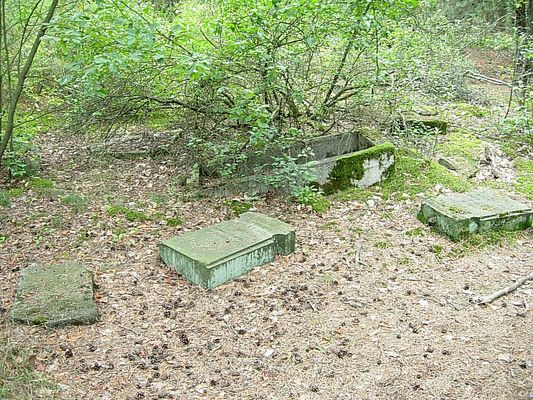 Cmentarz
Wola Brwileńska
