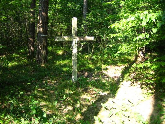 "... tylko w polu, biały krzyż..."
jedno z trzech miejsc egzekucji
Słowa kluczowe: pomnik łąck hitlerowcy jaca