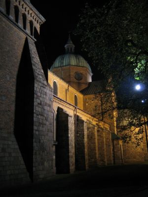 Katedra
Katedra nocą
