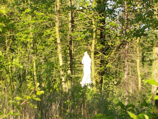 Figurka
Podolszyce Pd. w tym miejscu stał kiedys kościół św. Jakuba - Grabówka

