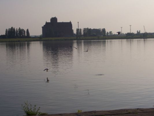 Elewator zbożowy na Radziwiu
