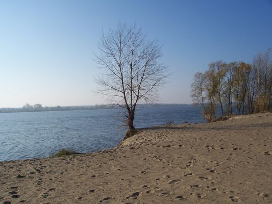 plaża nad Wisłą
idealne miejsce schadzek dla psów :)
