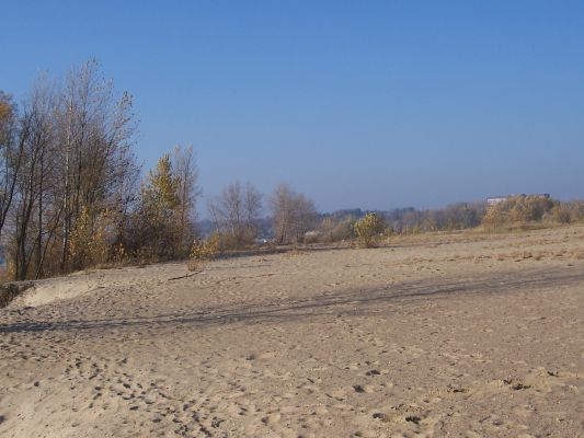plaża nad wisłą

