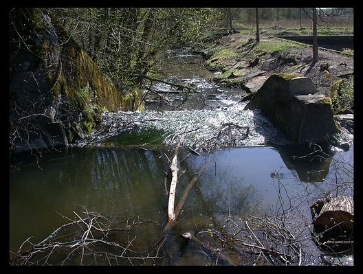 Rzeczka Słupianka
po prawej stronie widac fragment starego odkrytego basenu. W pobliżu Szkoły Podstawowej oraz Gimnazjum w Słupnie powstanie na miejscu stareg basenu nowy kryty.
