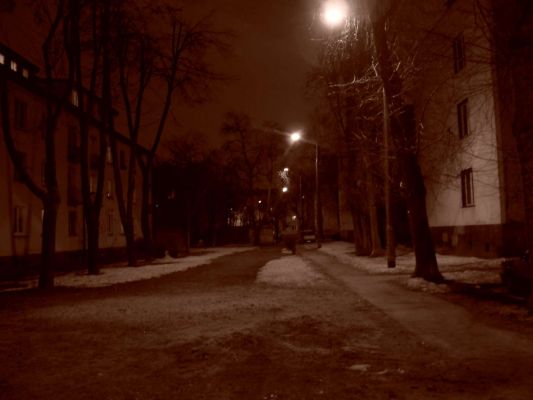 Zabudowania przy ul. Bielskiej
