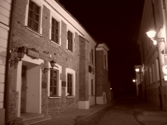 budynek TNP
Towarzystwo Naukowe Płockie
