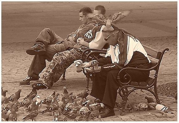 Stary Rynek
karmienie gołębi
