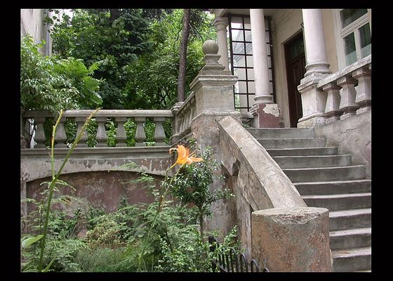 Przedszkole Nr 1 w Płocku
ul. Kościuszki
