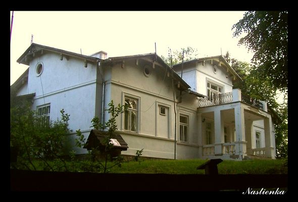 Dworek w Borowicach
Ziemia płocka. Wieś znana od XV wieku, była własnością szlachecką. W XVI wieku zasiedlona przez rodzinę Borowskich nieznanego herbu. W 1579 włączona do majątku Stanowo. Jej właścicielami były rodziny: Sielskich, Rościszewskich (który w połowie XIX wieku założyli park krajobrazowy), Ostrowskich, Szatkowskich. W wieku XX: Święcickich, Noskowskich, Gradowskich, Turskich. Ci ostatni wznieśli po 1918 roku obecnie istniejący dwór - neoklasycystyczny, murowany z cegły, otynkowany, na kamiennej podmurówce,parterowy, dziewięcioosiowy, z trzema ryzalitami: dwoma na skrajach oraz środkowym - dwukondygnacyjnym, z tarasem na filarach od strony pn. wsch. Układ wnętrz dwutraktowy z sienią na osi. Od frontu ganek o dwóch kolumnach toskańskich i dwóch filarach, na piętrze analogiczna loggia zwieńczona trójkątnym szczytem. Nad ryzalitami trójkątne szczyciki. Dach dwuspadowy, kryty blachą. 


