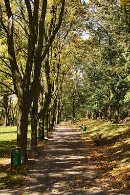 Jesienny park na Górkach
