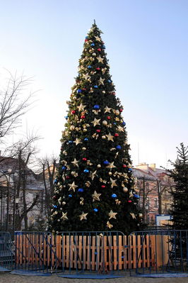 Świąteczna choinka na Starym Rynku
