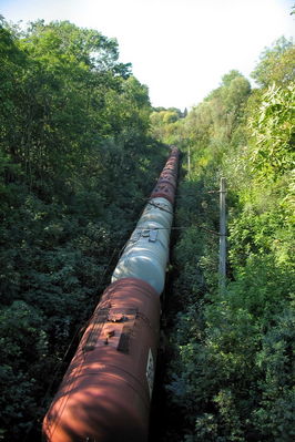 Widok na przejeżdzający pociąg z wiaduktu koło Zoo
