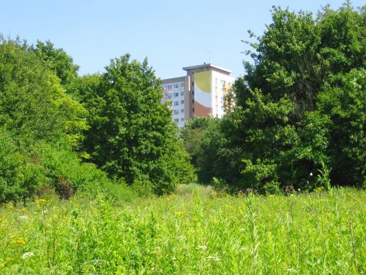 Widok z parowy na osiedle
