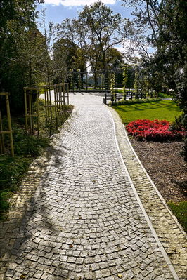 Aleja do pomnika Ludwika Krzywickiego
