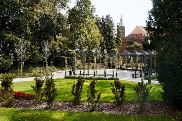 Pergola przy pomniku Ludwika Krzywickiego
