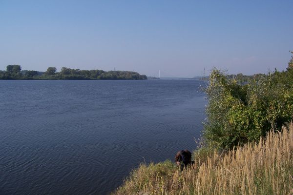 Widok na nowy most z okolic Borowiczek

