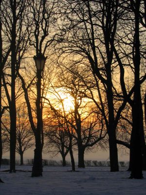 Park na Wzgórzu Tumskim
