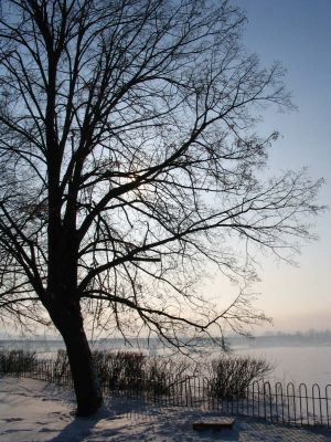 Wzgórze Tumskie - park
