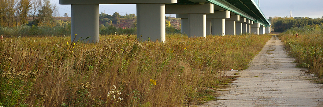 Nie mam pomysłu na tytuł, po prostu super fotka ;)
