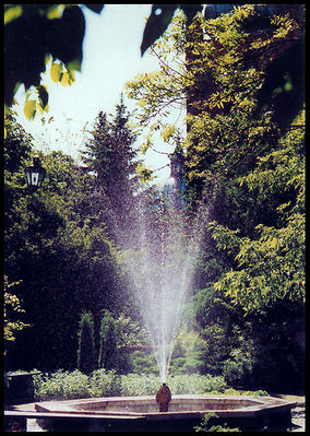 Fontanna "KOSTRO"
Dziedziniec TNP.
