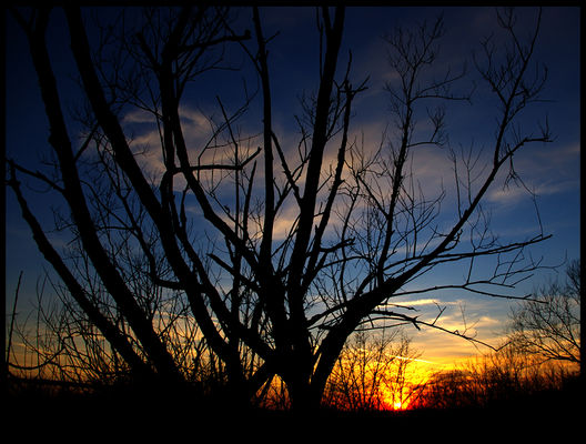 malownicze niebo nad Jarem Brzeźnicy
Słowa kluczowe: jar Parowa Brzeźnica