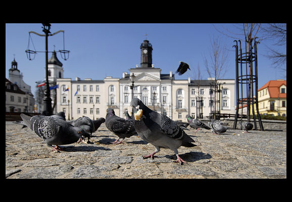 Starówka z innej perspektywy.
