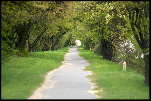 alejka przy ul. Bielskiej / Kostrogaj
