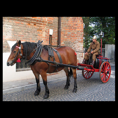 Wóz strażacki ;)
100 lecie Pierwszych Krajowych Zawodów Strażackich
