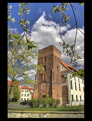 wieża obserwatorium astronomicznego
LO im. marsz. Stanisława Małachowskiego
