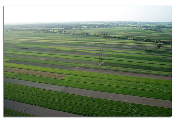 Wyszogród - droga krajowa E62
fot. Paweł Laskowski
