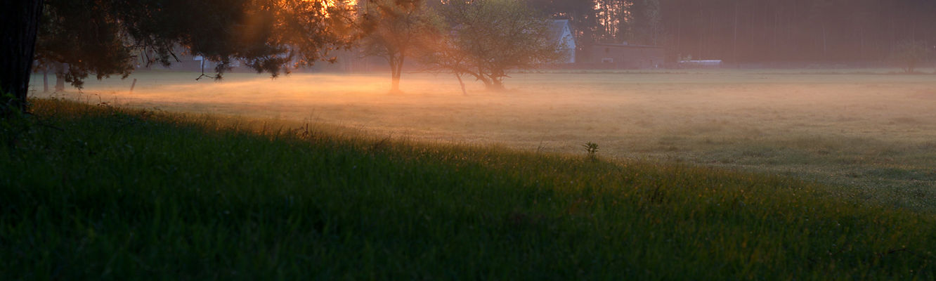 bardzo wczesny poranek pod Radziwiem
