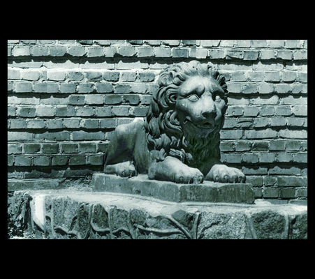 kamienny płocki lew
