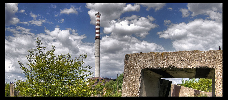teren niedoszłej mleczarni w Radziwiu
