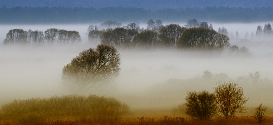 poranna mgła w Radziwiu
ciąg dalszy...
