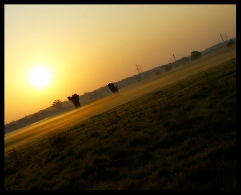 wschód nad łąką cześka chyba_radziwie ;)
