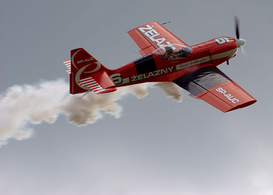 2 Piknik Lotniczy w Płocku
http://www.zelazny.azl.pl/
