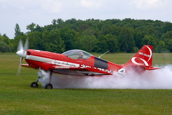 2 Piknik Lotniczy w Płocku
http://www.zelazny.azl.pl/
