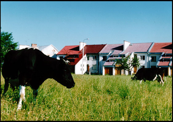 Mućka i Krasula
Podolszyce Południowe
