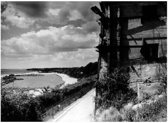 kawiarnia "Słoneczko"
